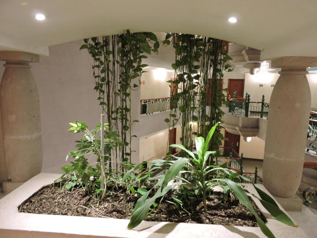 Zahrada ubytování Hotel Quinta Cesar