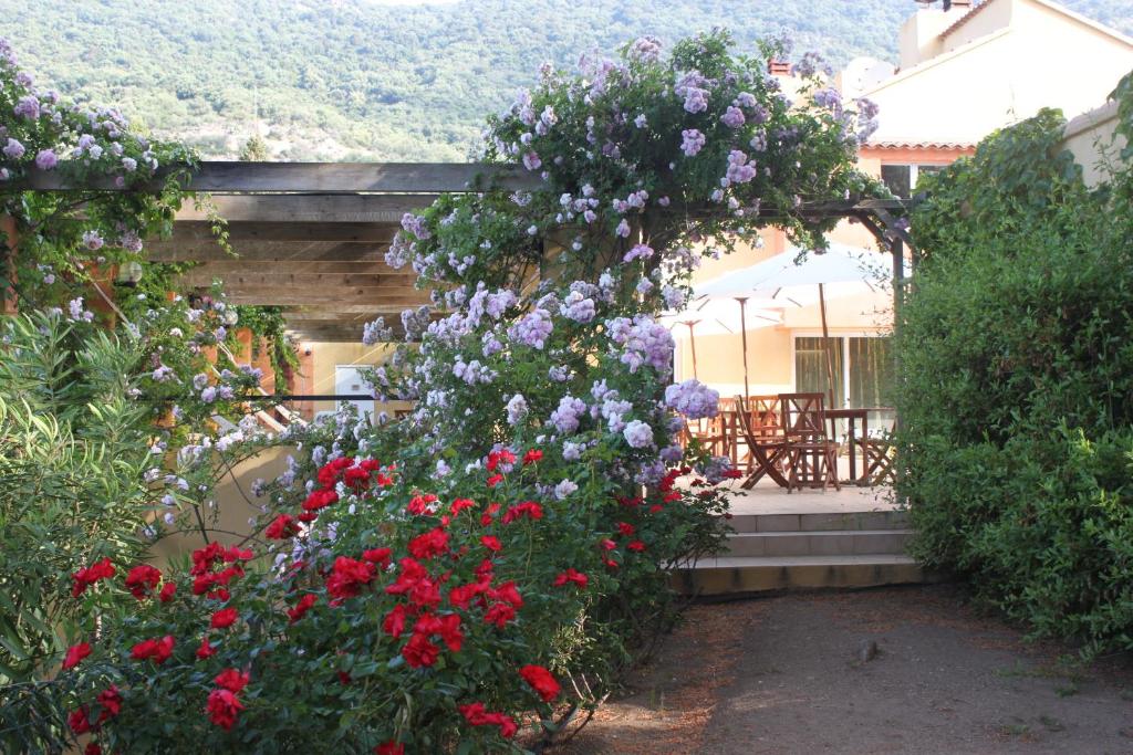 Residence Helios - 14