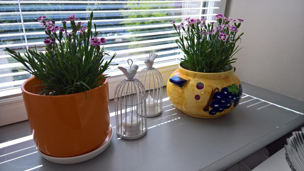 Comfort In Warsaw Apartment - 11