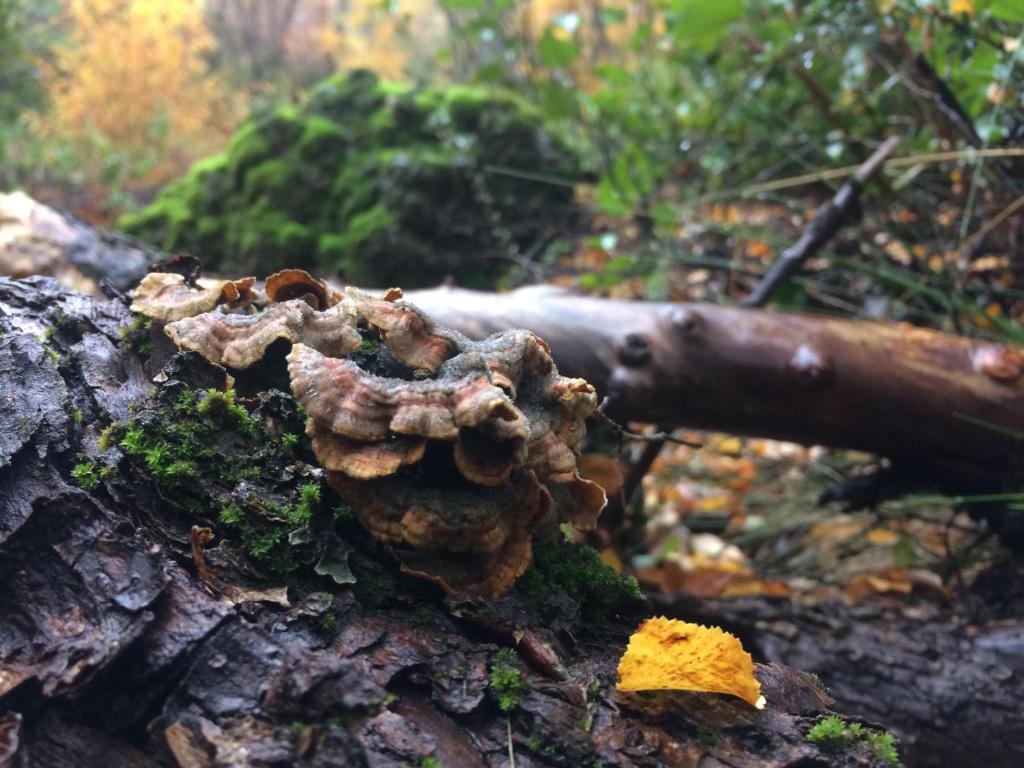 Un paisaje natural cerca de la casa de vacaciones