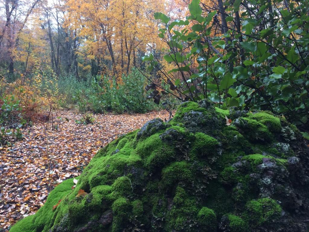 Un paisaje natural cerca de la casa de vacaciones