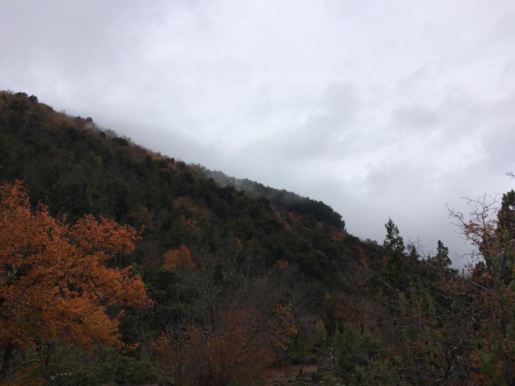 Un paisaje natural cerca de la casa de vacaciones