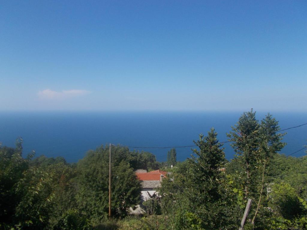 Příroda nedaleko penzionu