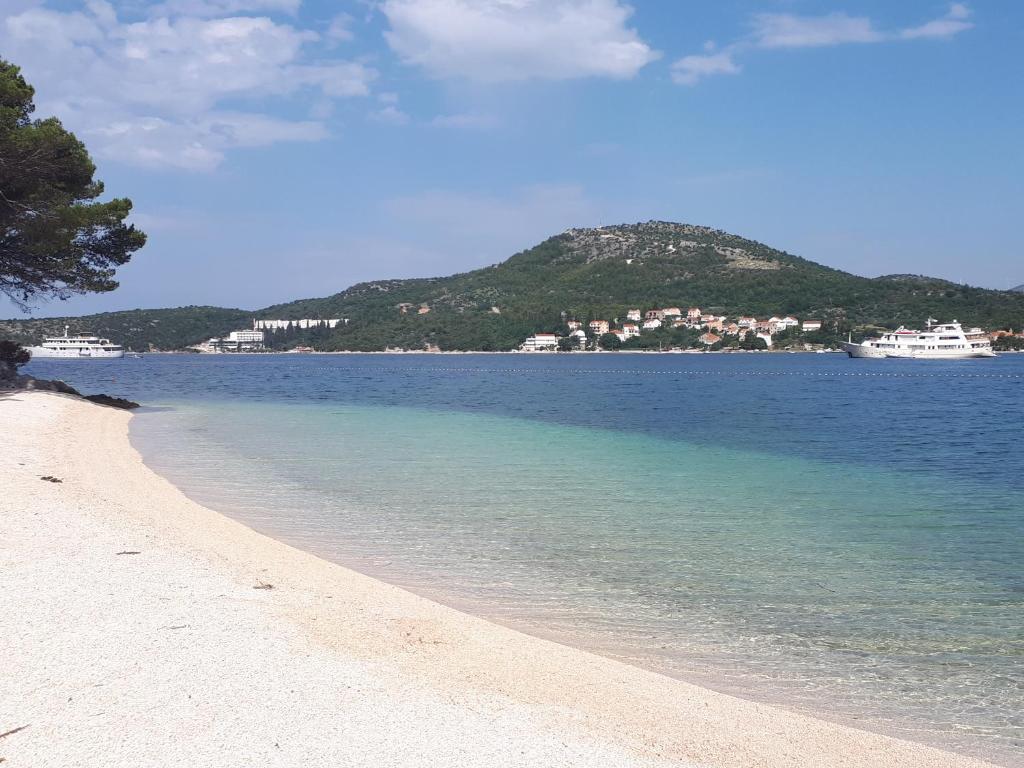 Príroda v okolí apartmánu