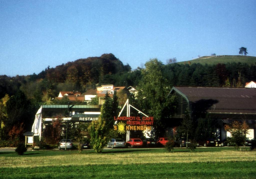 una ciudad con un edificio y una montaña en el fondo en Landhotel Sonnenbühl, en Sonnenbühl