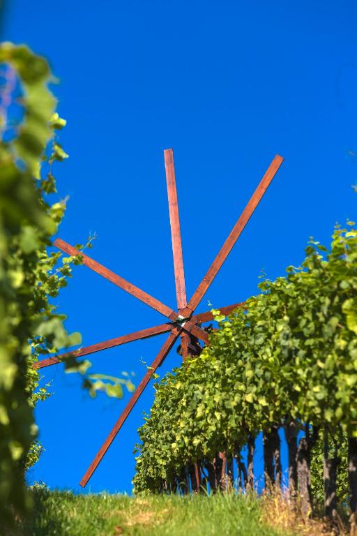 Zahrada ubytování Weingut Dreisiebner Stammhaus