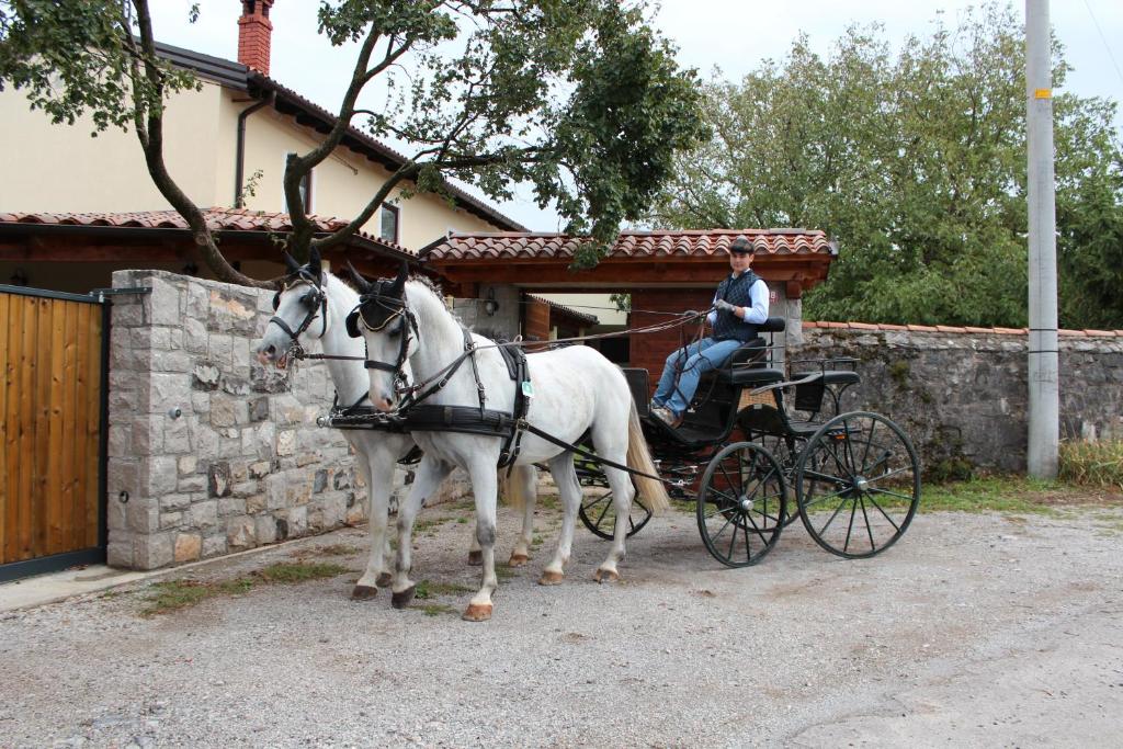 a horse pulling a carriage with a man on it at Country House Lokev in Lokev