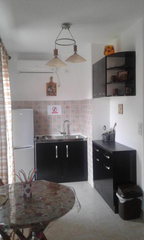 a kitchen with a sink and a table in it at Danijela Apartmani in Čanj