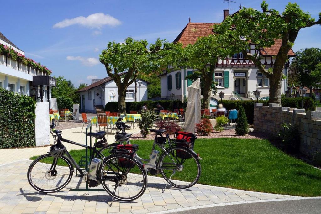 Jízda na kole v ubytování Gasthaus Seehof nebo okolí