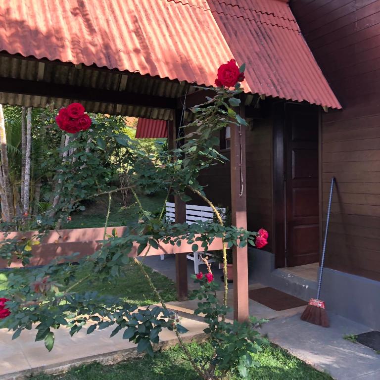  Sitio Dei Fiori