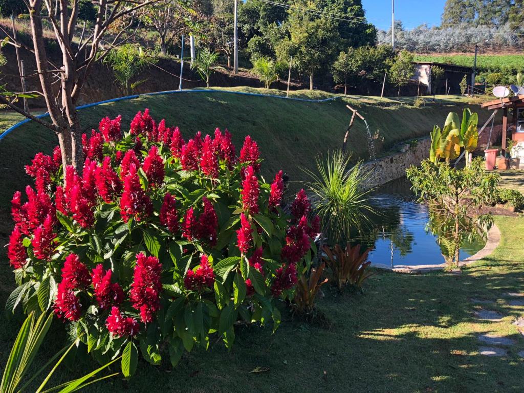  Sitio Dei Fiori
