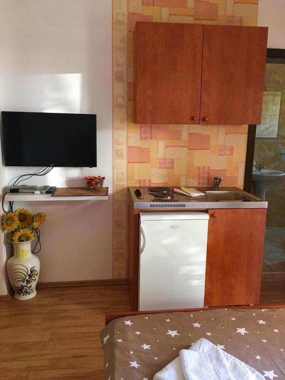 Apartments Manojlovic - Studio
