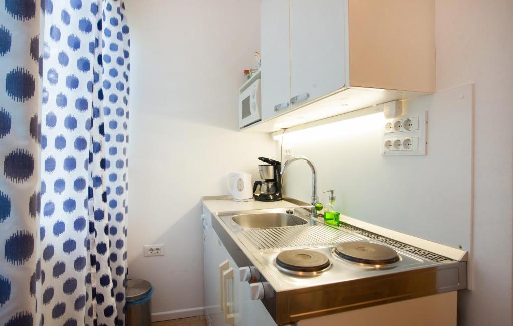 Kuchyňa alebo kuchynka v ubytovaní Asa Studio Apartment
