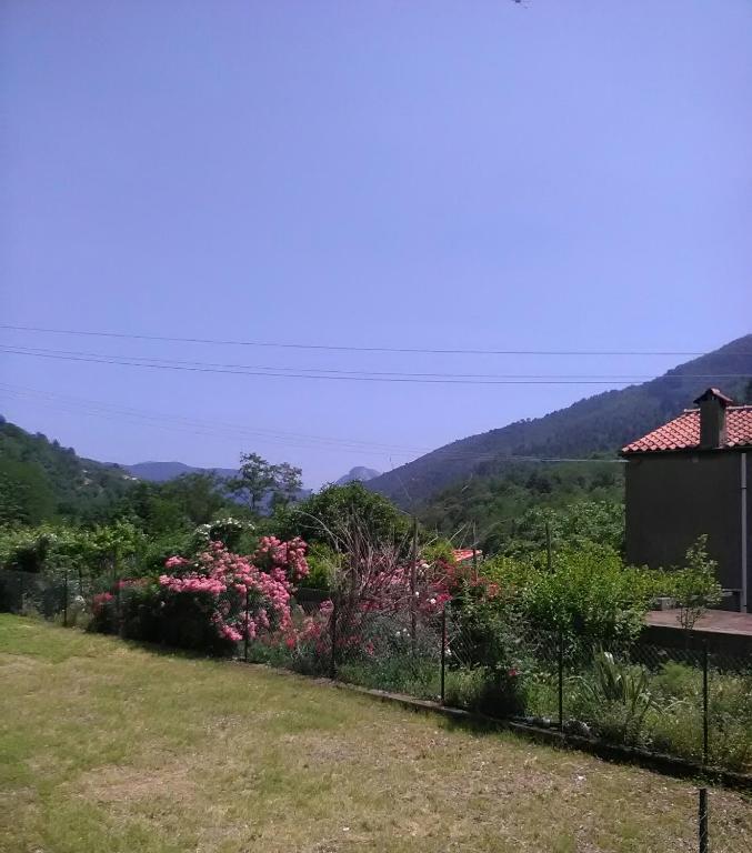 Príroda v okolí of the bed and breakfast