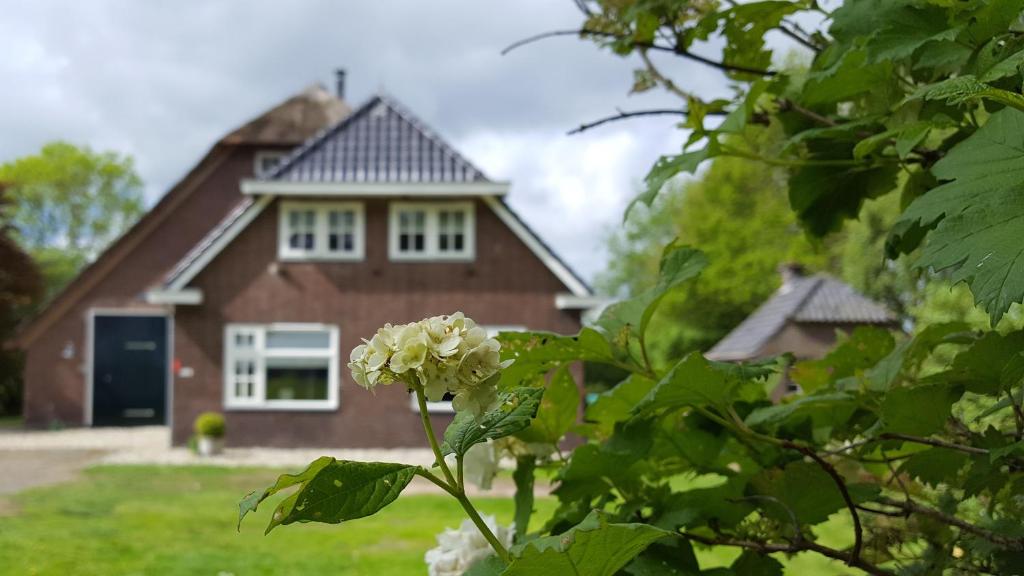 una casa con una flor delante de ella en The Barnyard, en Balinge