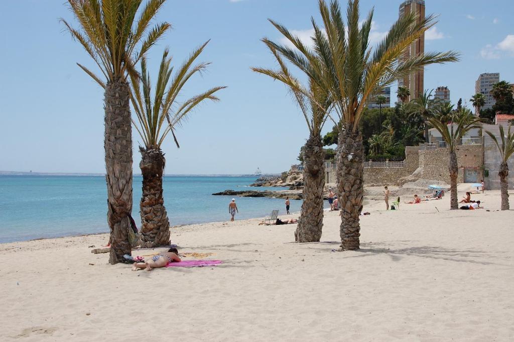 Oasis Alicante, Alicante – Updated 2023 Prices