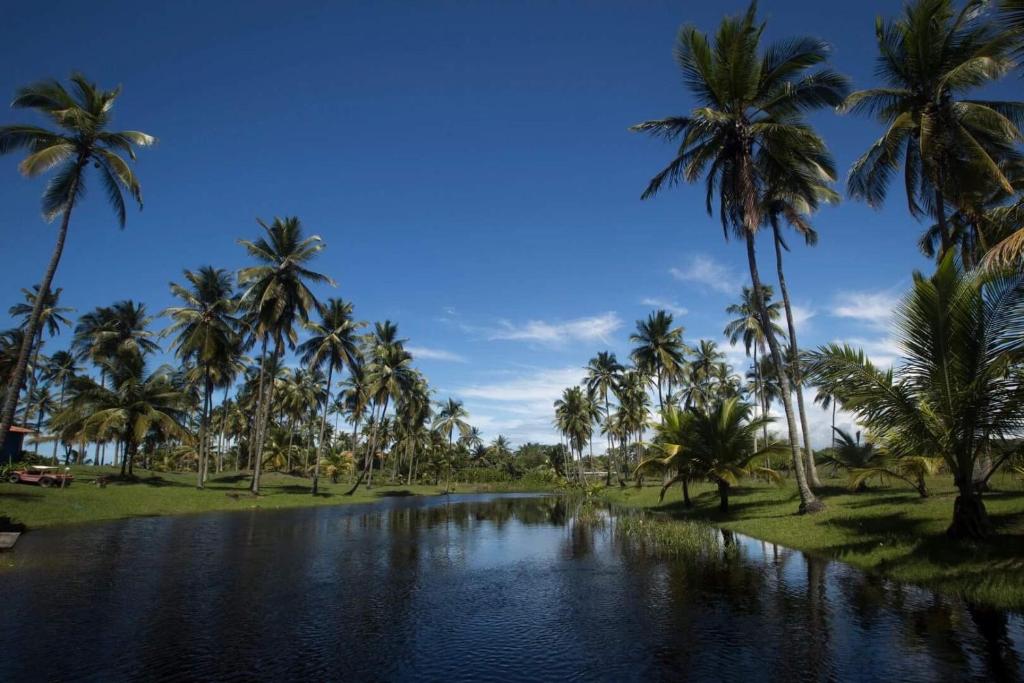  Casa de Praia Mico Leão