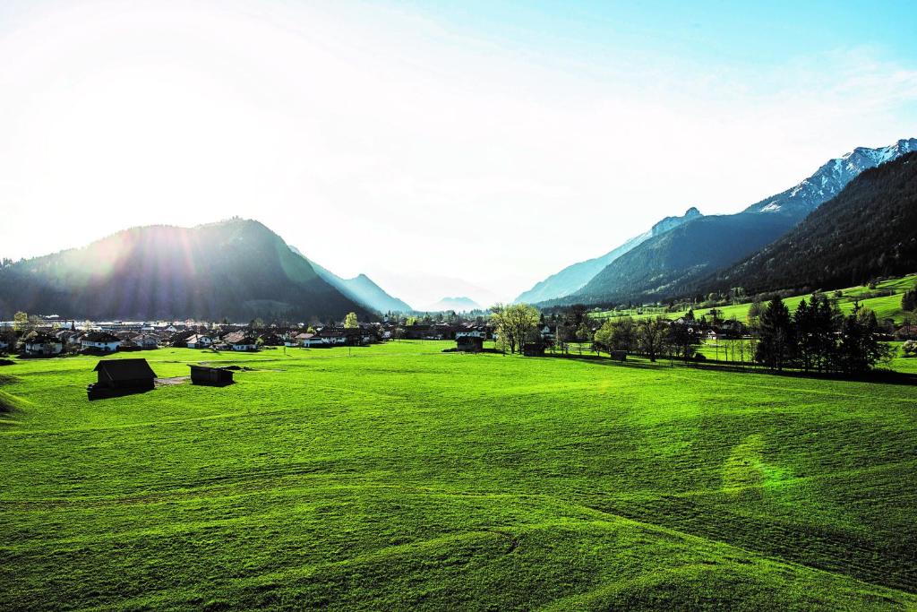 um campo de relva verde com montanhas ao fundo em Im Achtal, Mehr als Ferienwohnungen em Pfronten