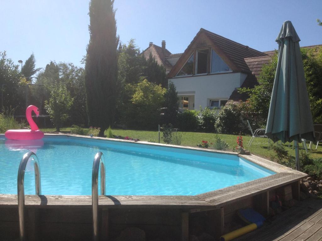 Gite des 3 cigognes – photo 20