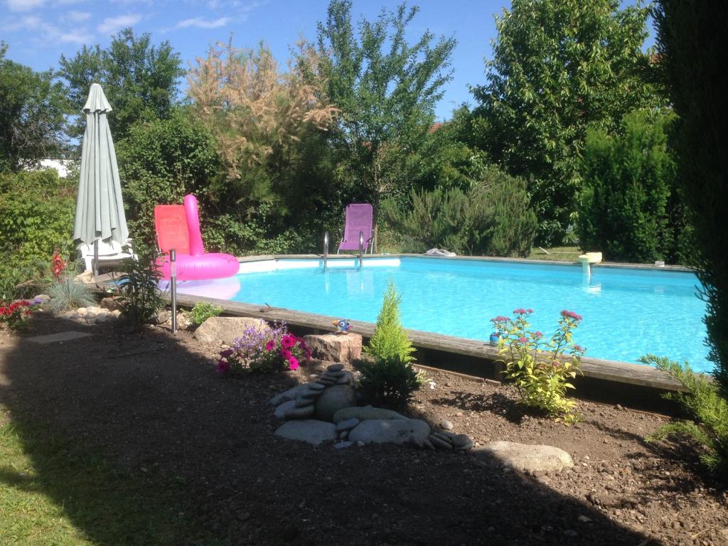 Gite des 3 cigognes – photo 4