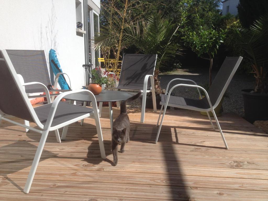 Gite des 3 cigognes – photo 25