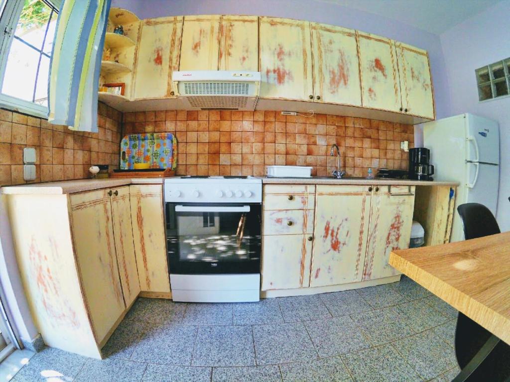 Kuchyňa alebo kuchynka v ubytovaní Adonis Villa