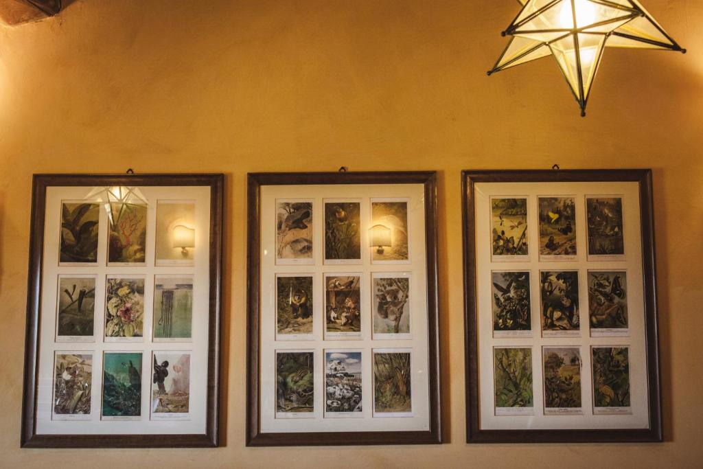 Fotografie z fotogalerie ubytování La Veronica Exclusive Chianti Resort v destinaci Greve in Chianti