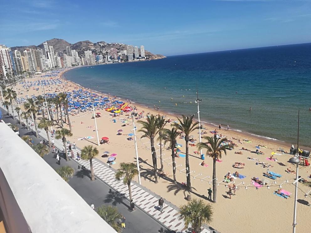 ベニドルムにあるRONDA Centro Levante Beachのヤシの木と海の景色を望む