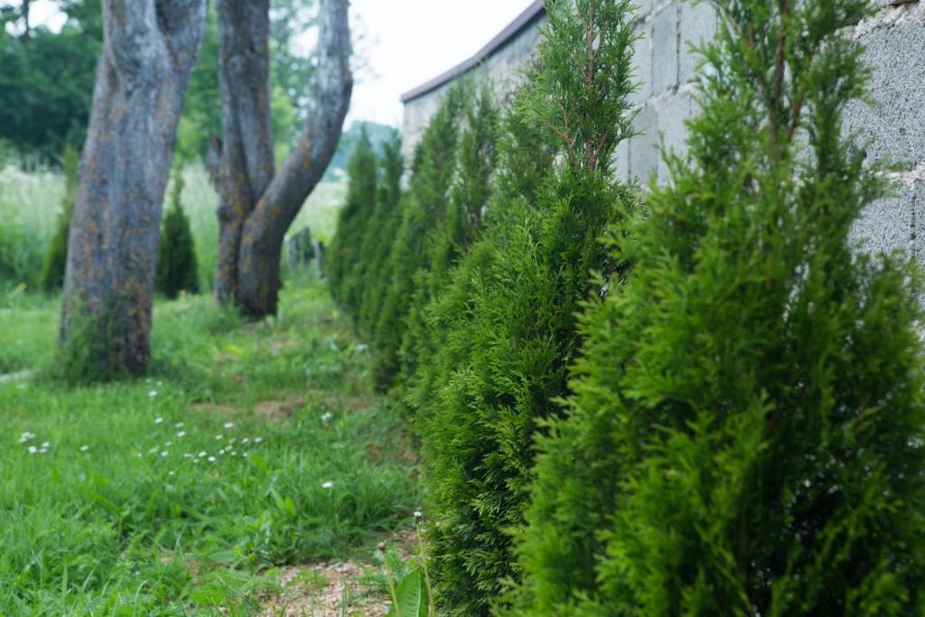 Zahrada ubytování Kuća za odmor Marija