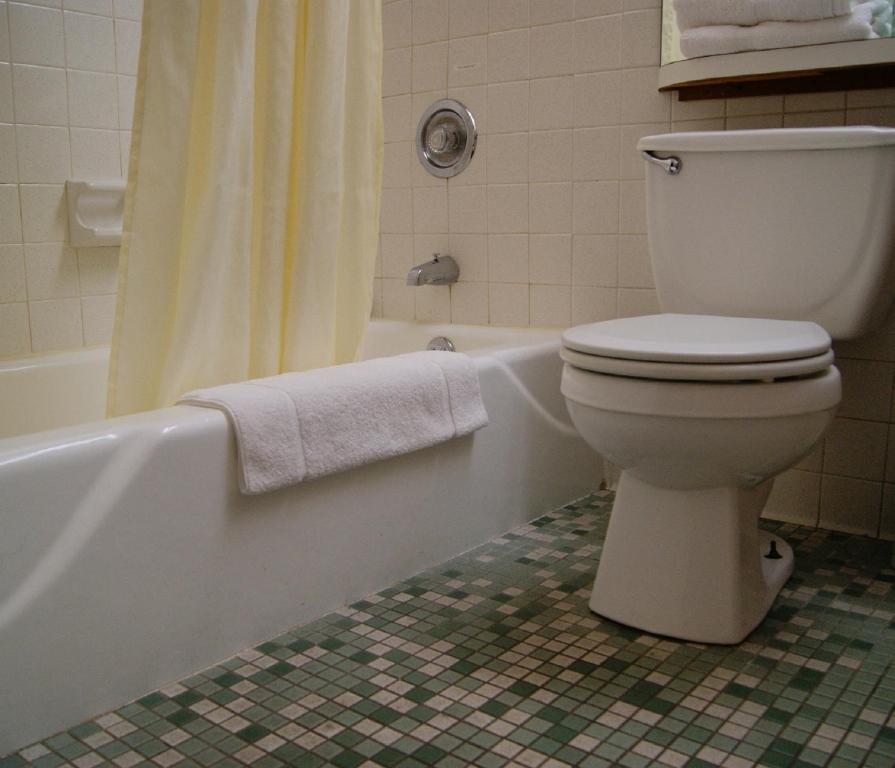 Meadow Court Inn - Ithaca - Double Room