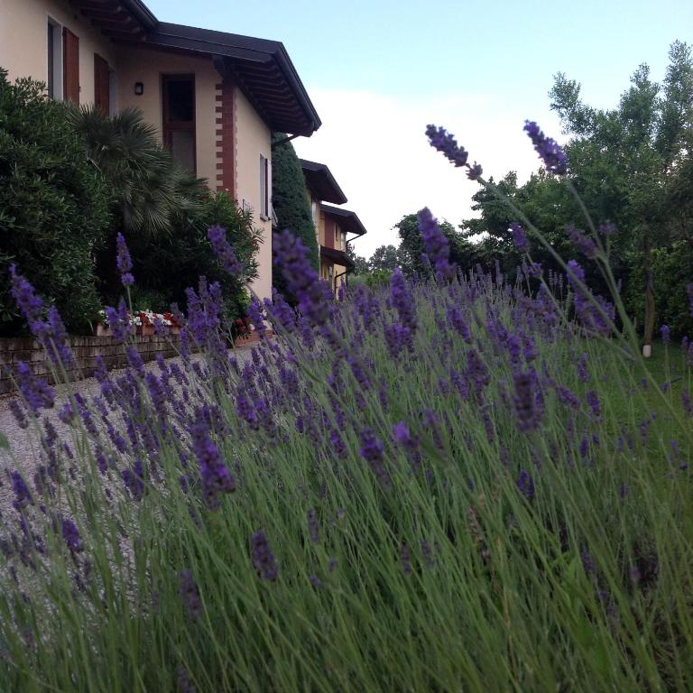 a field of purple flowers next to a house at Casale el galet in Moniga