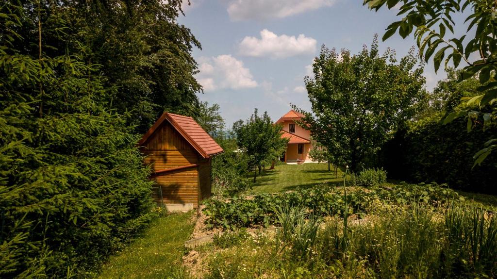 Příroda nedaleko apartmánu