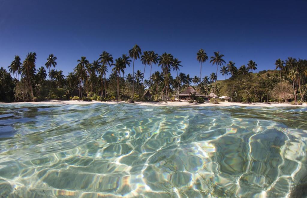 a view of a beach with palm trees in the water at Mango Bay Resort in Namatakula