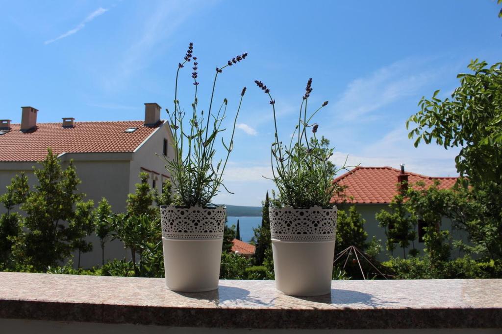 two potted plants are sitting on a ledge at Mia 4 in Crikvenica
