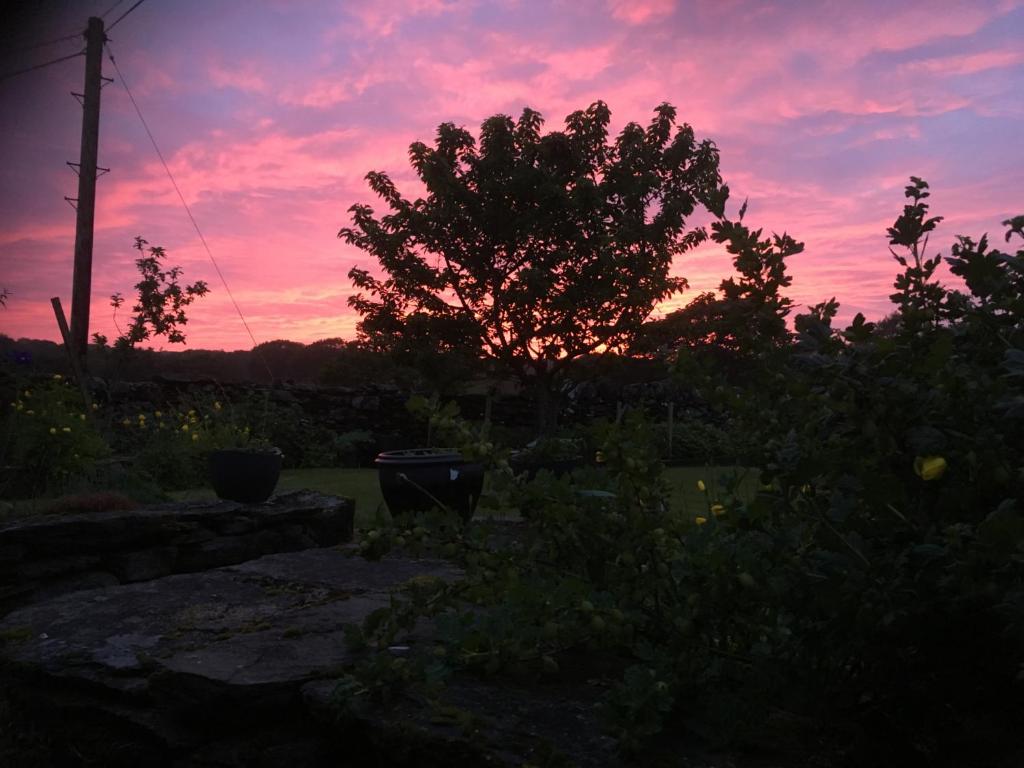 a sunset in a garden with a tree in the foreground at Garth Engan Private Self Contained B&B with Garden Area in Llanbedr