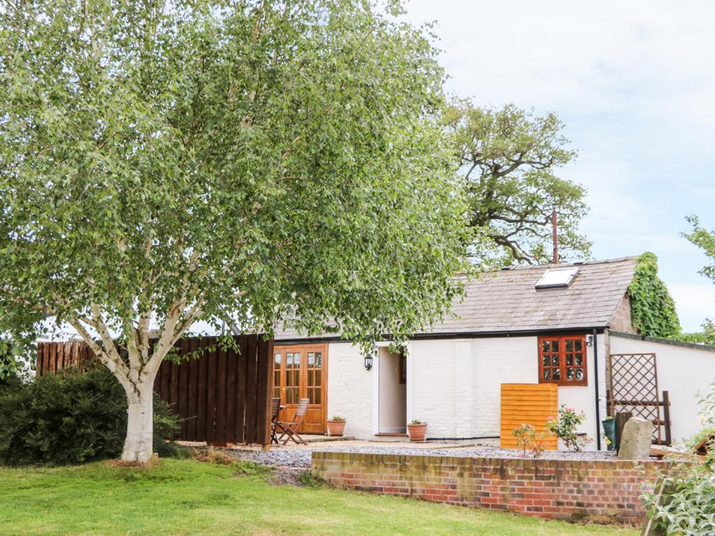 una casa de campo blanca con un árbol en el patio en Cheshire Cheese Cottage, en Chester