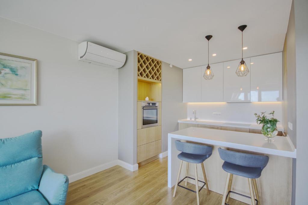 Kuchyň nebo kuchyňský kout v ubytování Penthouse