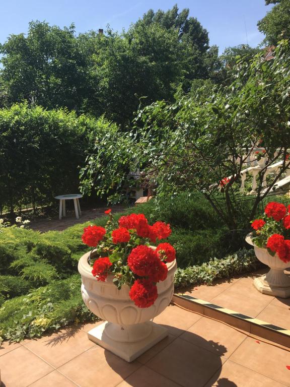 deux vases remplis de fleurs rouges sur un patio dans l'établissement Kertvárosi Családi Ház, à Budapest