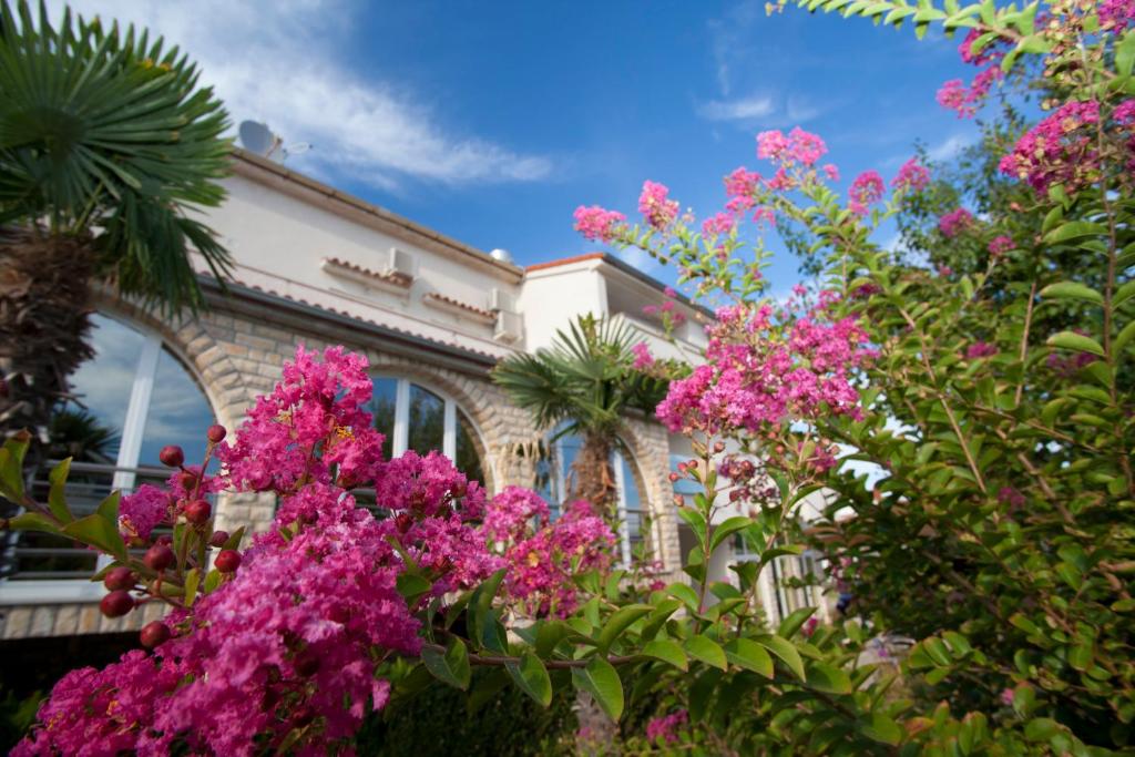 a building with pink flowers in front of it at Pansion Burin in Baška