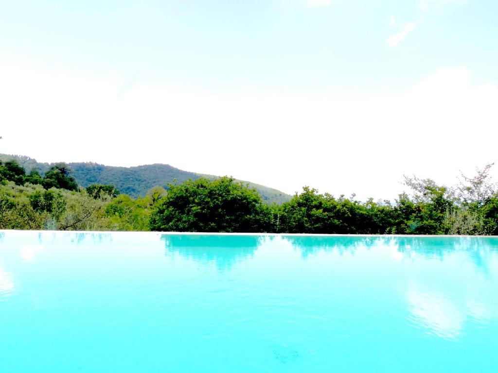 duży błękitny basen z drzewami w tle w obiekcie Tartagli Luxury Villa with Pool - a Fontanaro Property w mieście Paciano