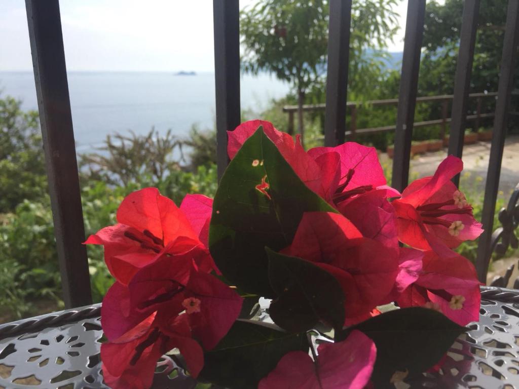 a vase of red flowers sitting on a table at Casa Rosetta in Praiano