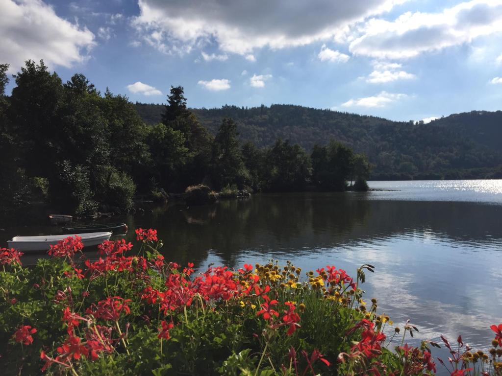 vistas a un lago con flores y un barco en Villa MARIA, en Chambon-sur-Lac