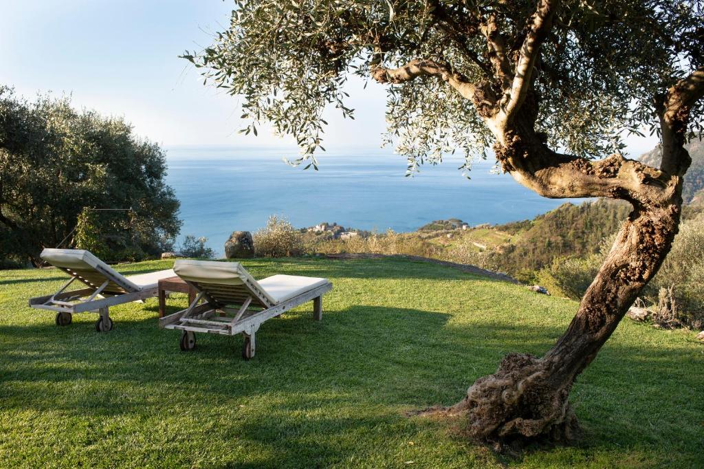 two lounge chairs and a table next to a tree at Eremo della Maddalena in Monterosso al Mare