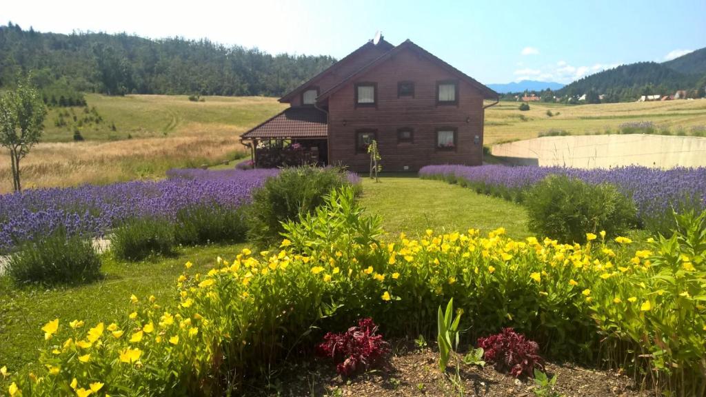 a house in the middle of a field of flowers at Boutique Hotel Japodi B&B in Mrkopalj