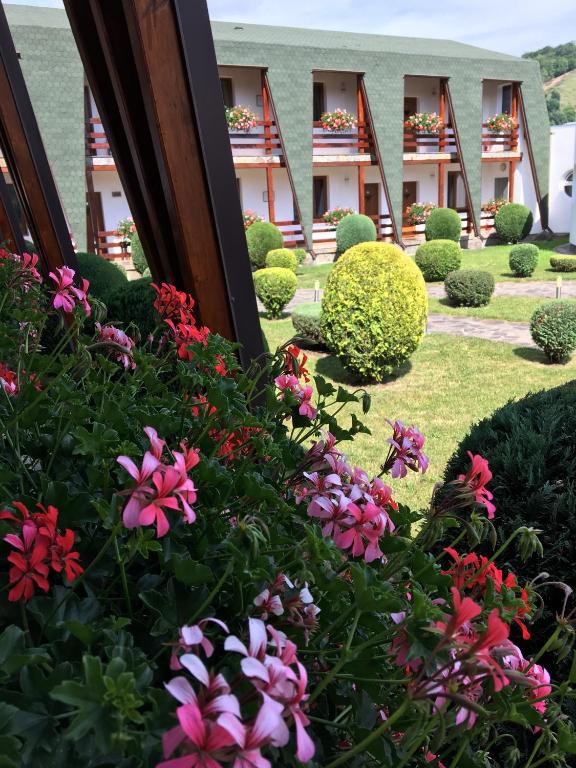 Zahrada ubytování Motel Sora