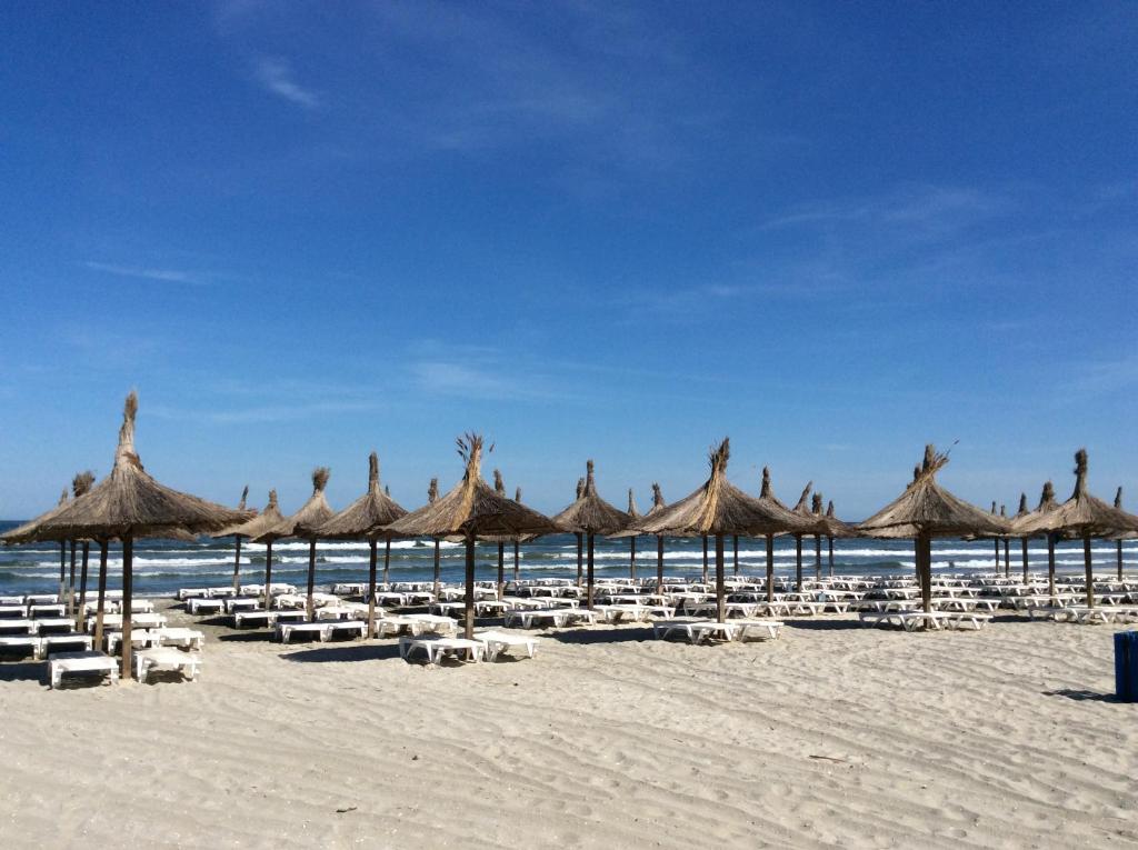 a beach with chairs and straw umbrellas and the ocean at Bluewaves Apartment Mamaia Nord in Mamaia Nord