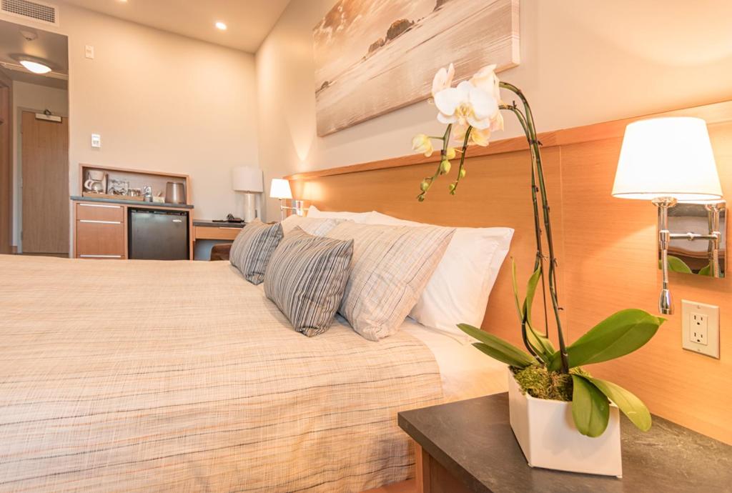 a hotel room with a bed with a plant on a table at Harbour House Hotel in Ganges
