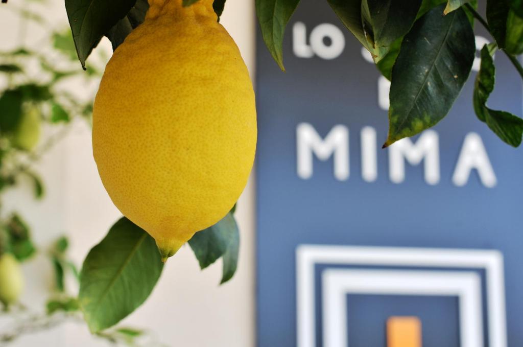 Certifikát, hodnocení, plakát nebo jiný dokument vystavený v ubytování Lo spazio di Mima