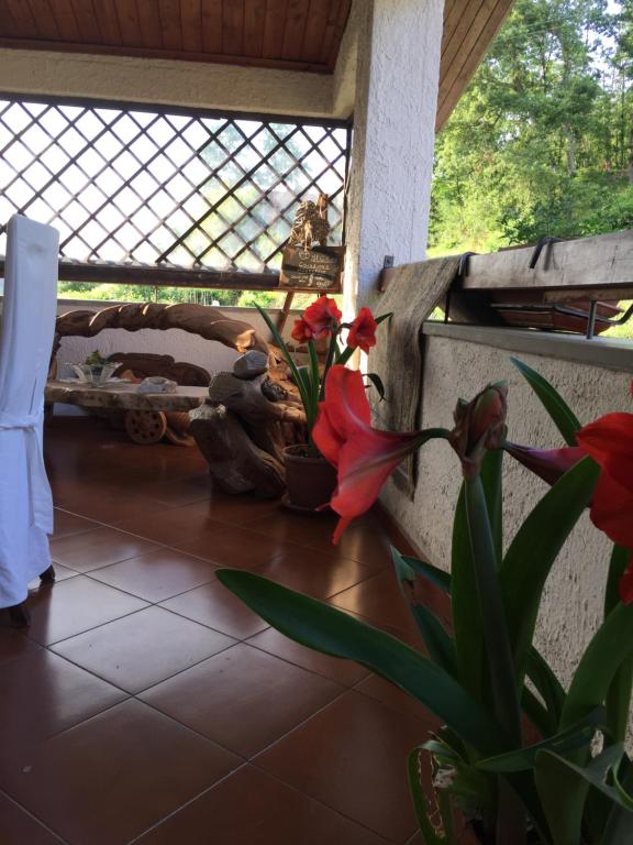 Balkón nebo terasa v ubytování Il Ghiro B&B