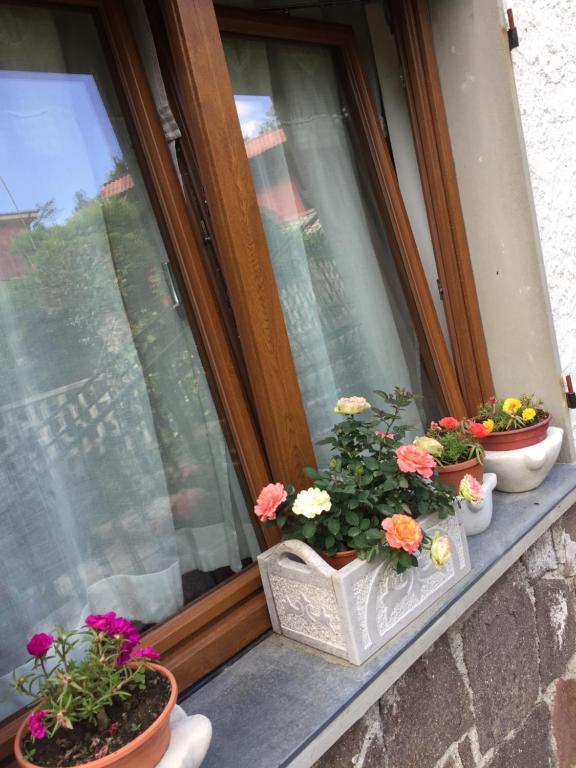 Fotografie z fotogalerie ubytování Il Ghiro B&B v destinaci Riccò del Golfo di Spezia